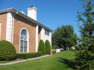 side view