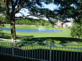 backyard view